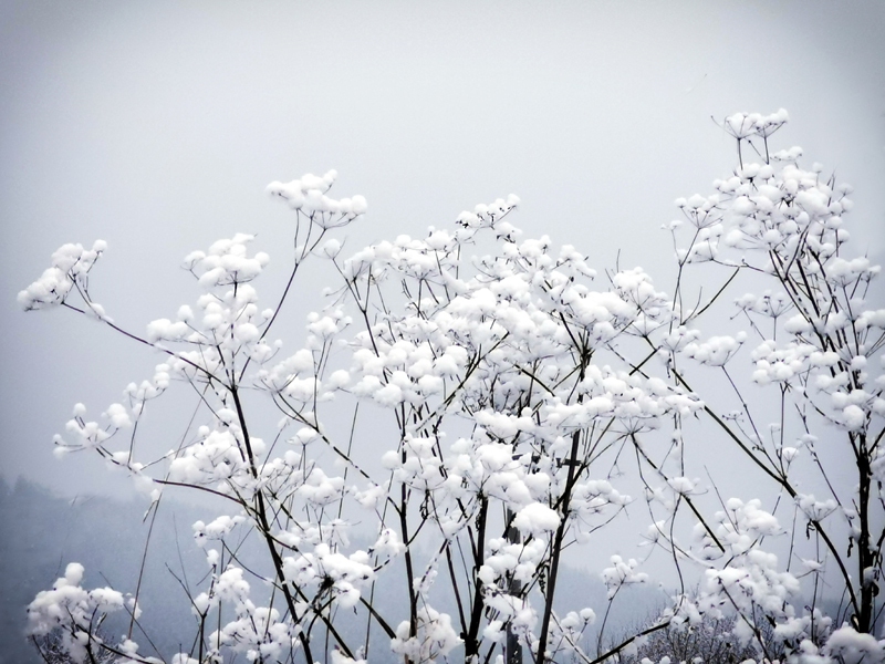31_Dreaming-of-a-white-winter